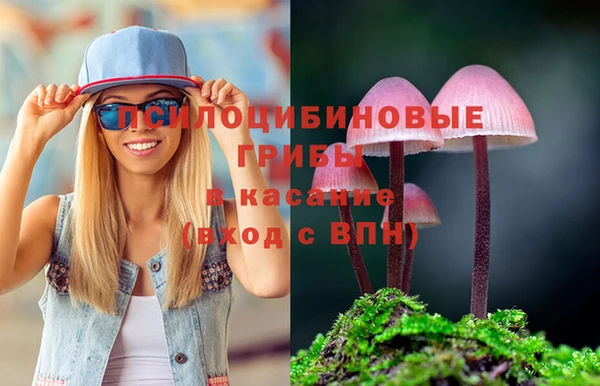 дживик Балахна