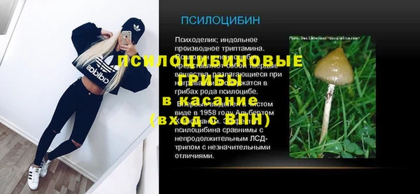 дживик Балахна